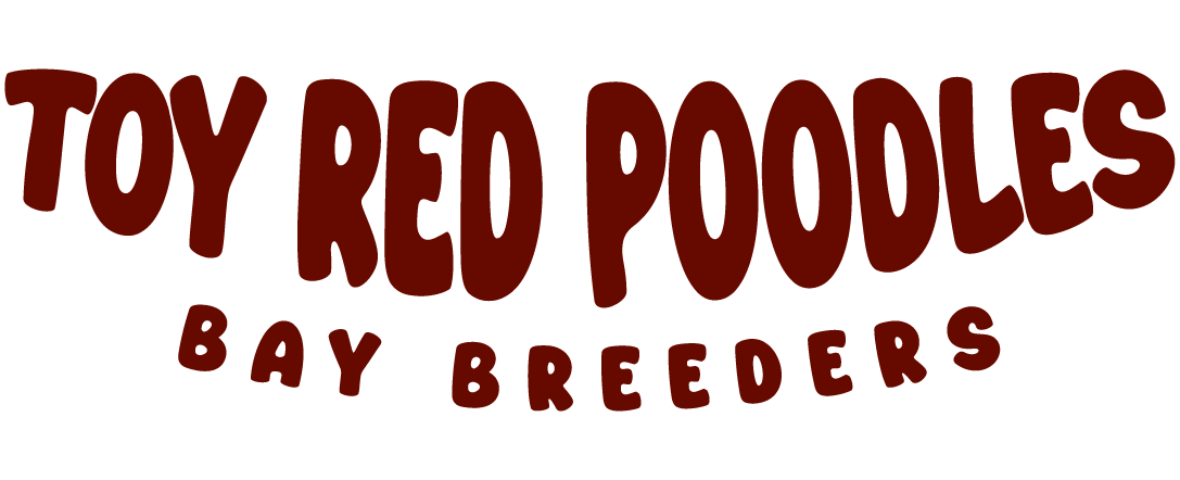 redpoodlelove.com